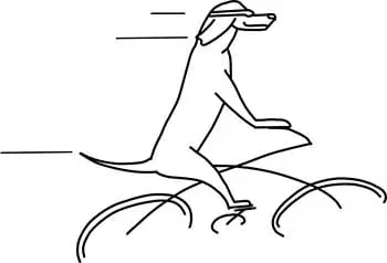 Placeholder Picture